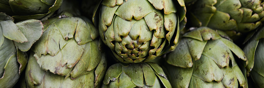 Can dogs eat artichokes?