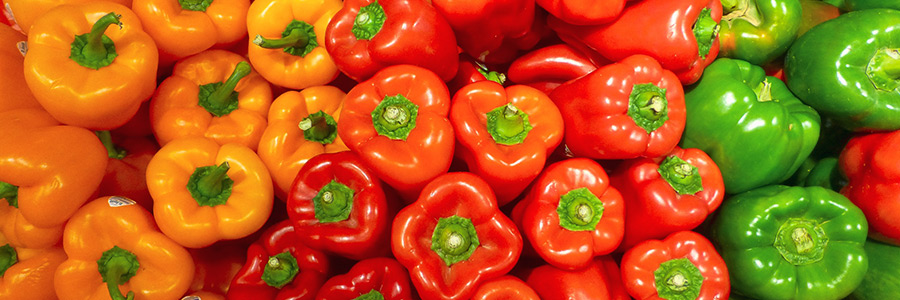 Can dogs eat bell peppers?