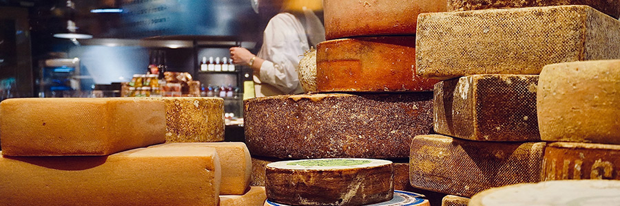 Can dogs eat cheese?