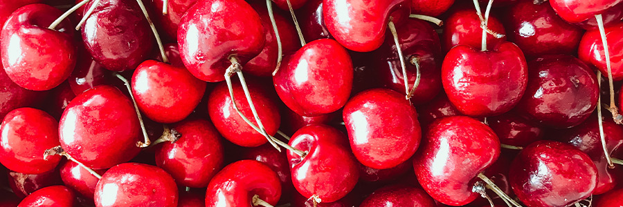 Can dogs eat cherry?
