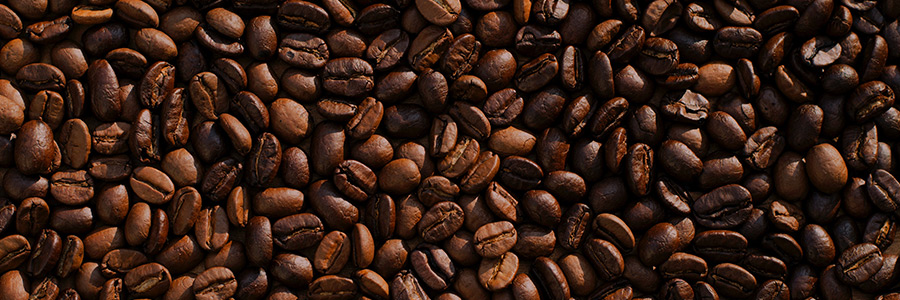 Can dogs eat coffee?