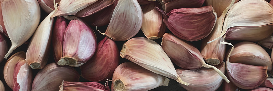 Can dogs eat garlic?