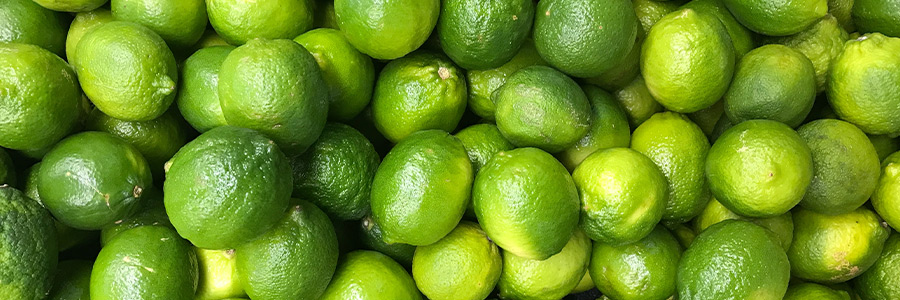 Can dogs eat limes?