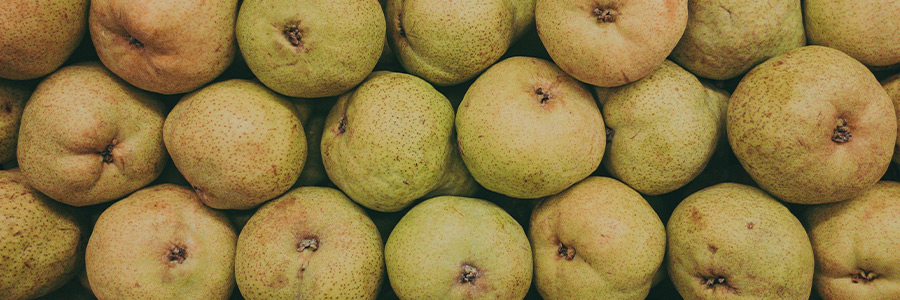 Can dogs eat pears?