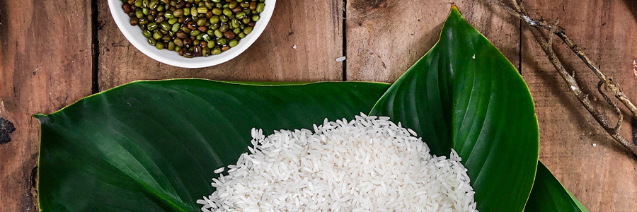 Can dogs eat rice?