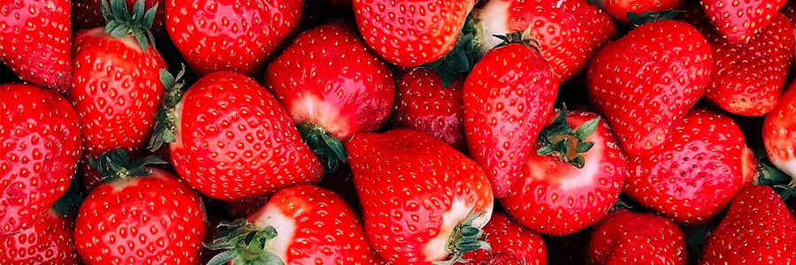 Can dogs eat strawberries?