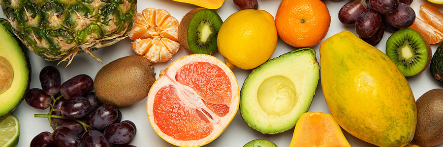 What fruits can dogs eat?