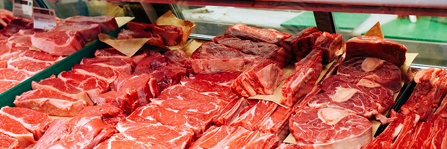 What meats can dogs eat?